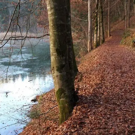 Chalet Kruckenhaus Appartamento Breitenbach am Inn