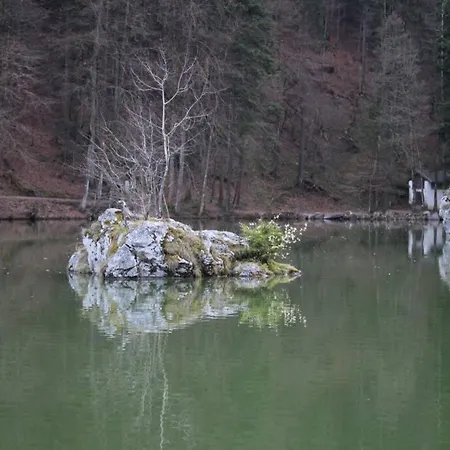 Chalet Kruckenhaus Appartamento *
