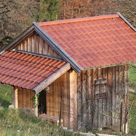 Chalet Kruckenhaus Apartment *